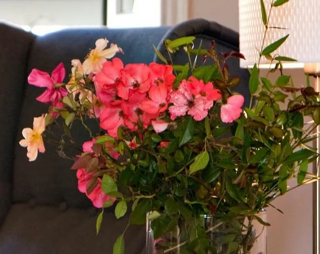 Porto Sole Отель типа 